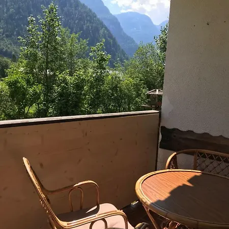 Angi Obertraun